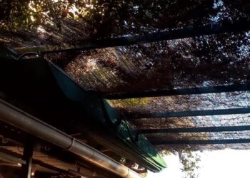 Vive el otoño como una primavera, con estos lugares