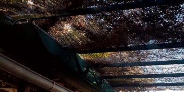 Vive el otoño como una primavera, con estos lugares