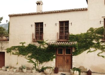 Masía Vilaplana: la marca de aceites de Oliva Virgen Extra Premium que necesitas conocer