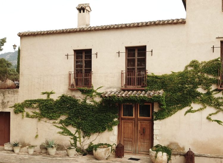 Masía Vilaplana: la marca de aceites de Oliva Virgen Extra Premium que necesitas conocer